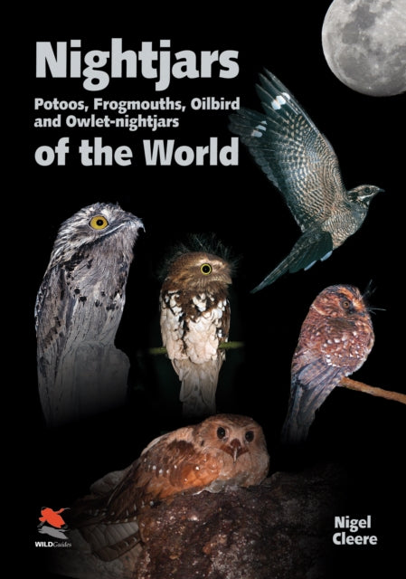 Nightjars, Potoos, Frogmouths, Oilbird, and Owlet–nightjars of the World