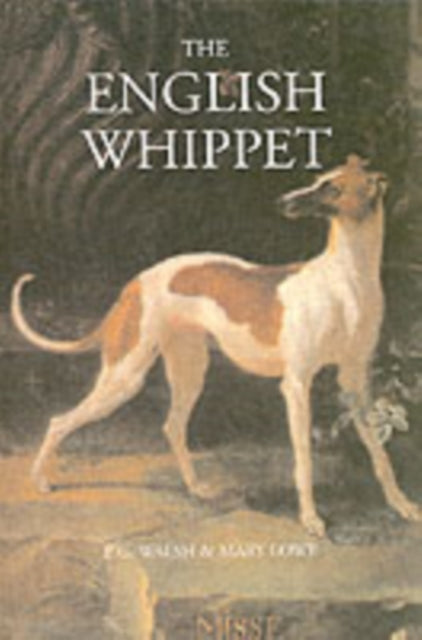 English Whippet