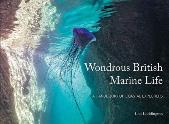 Wondrous British Marine Life