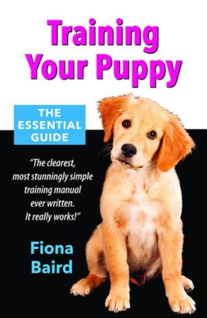 Training Your Puppy