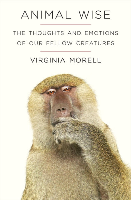 Animal Wise: The Thoughts and Emotions of Animals