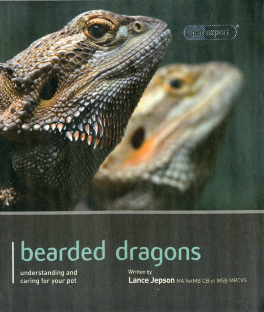 Bearded Dragon - Pet Expert: Understanding and Caring for Your Pet