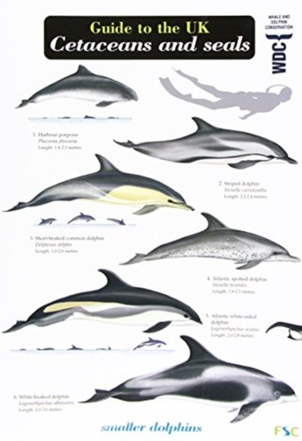 Guide to the UK Cetaceans and Seals