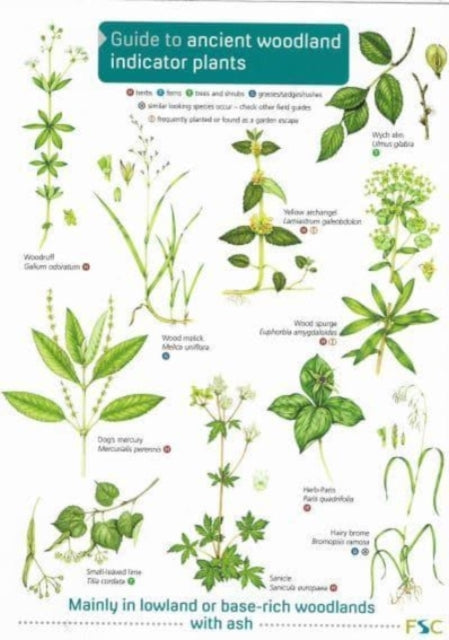 Guide to Ancient Woodland Indicator Plants