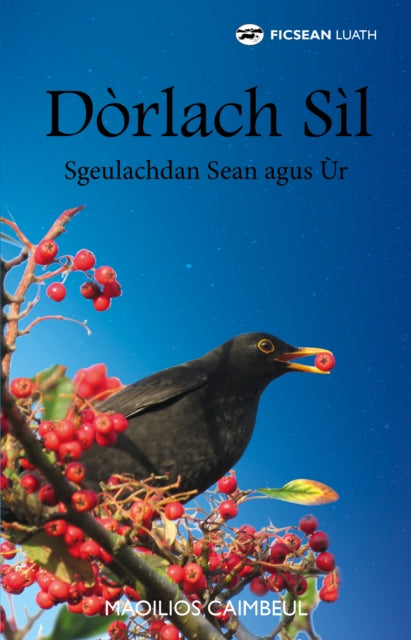 Dorlach Sil