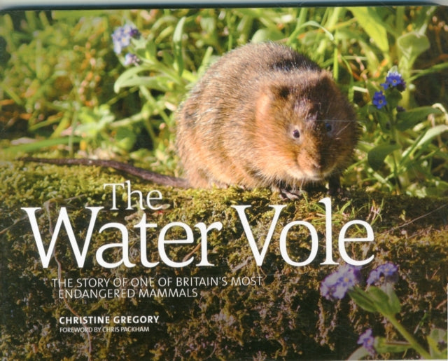 Water Vole