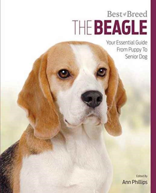 Beagle: Best of Breed