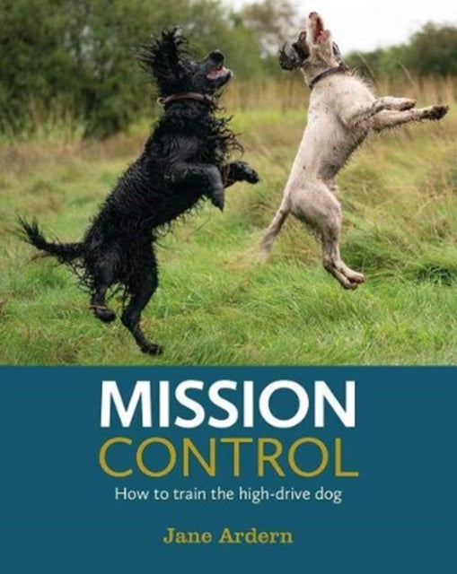 Mission Control - How to train the high-drive dog