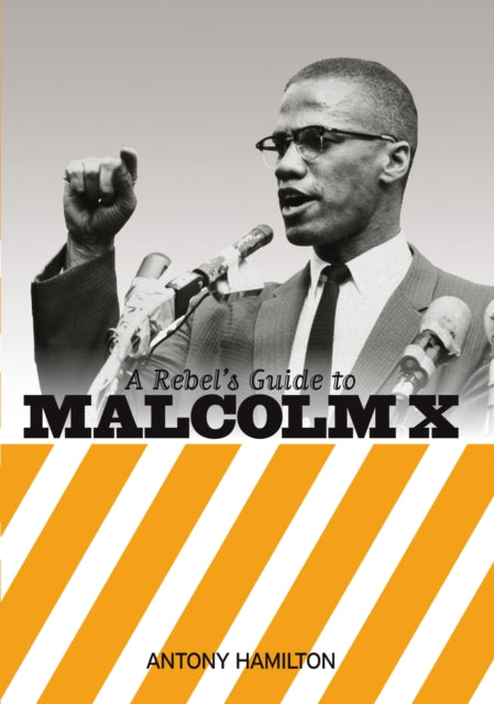 Rebel's Guide to Malcolm X