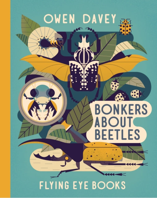 Bonkers About Beetles