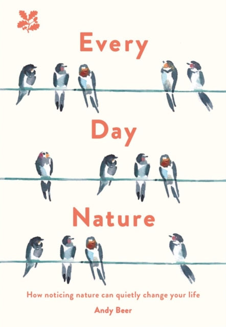 Every Day Nature - How noticing nature can quietly change your life