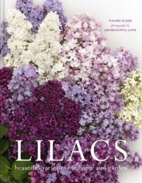 Lilacs - Beautiful varieties for home and garden