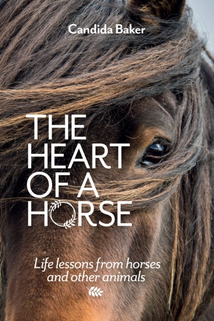 Heart of a Horse