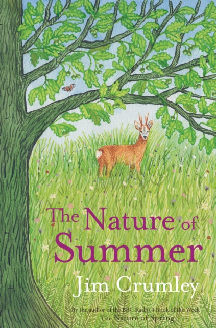 Nature of Summer