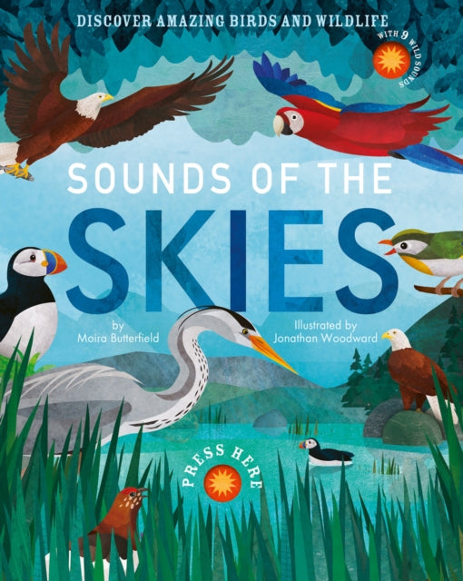 Sounds of the Skies