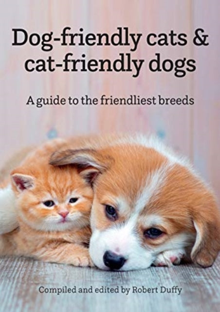 Dog-friendly cats & cat-friendly dogs - A guide to the friendliest breeds