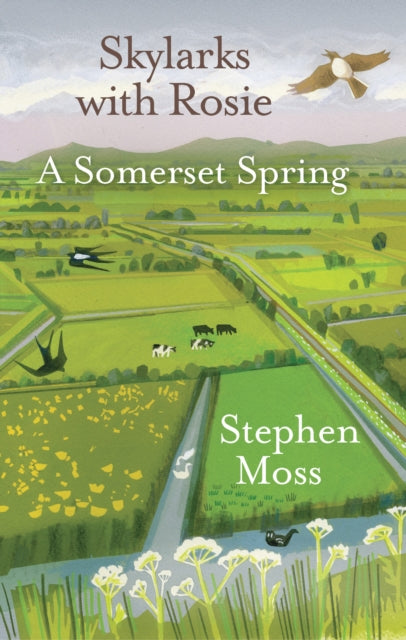 Skylarks with Rosie - A Somerset Spring