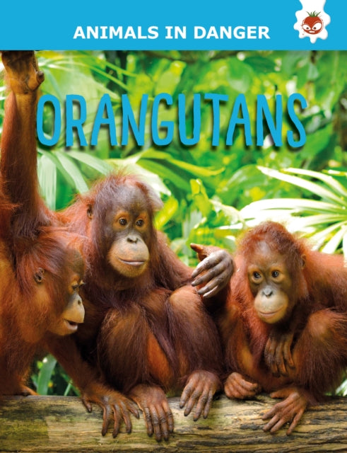 Orangutans