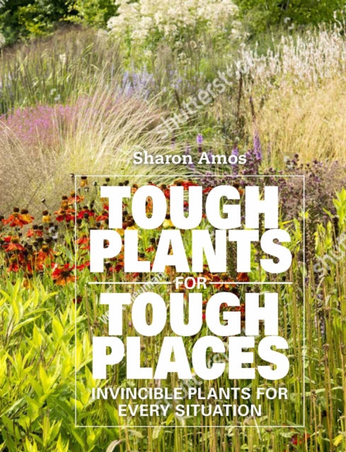 Tough Plants for Tough Places