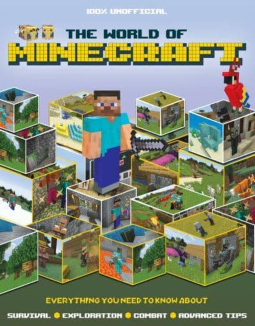 World of Minecraft