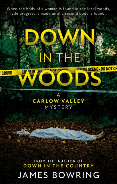 Down in the Woods - A Carlow Valley Mystery