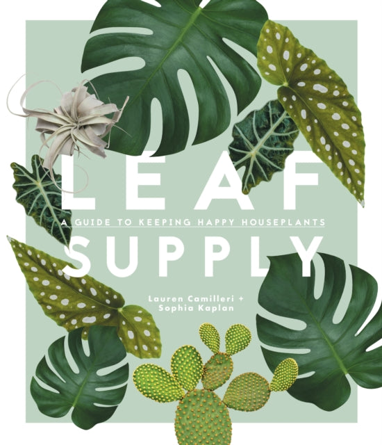 Leaf Supply - A guide to keeping happy house plants