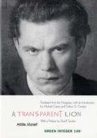 A Transparent Lion