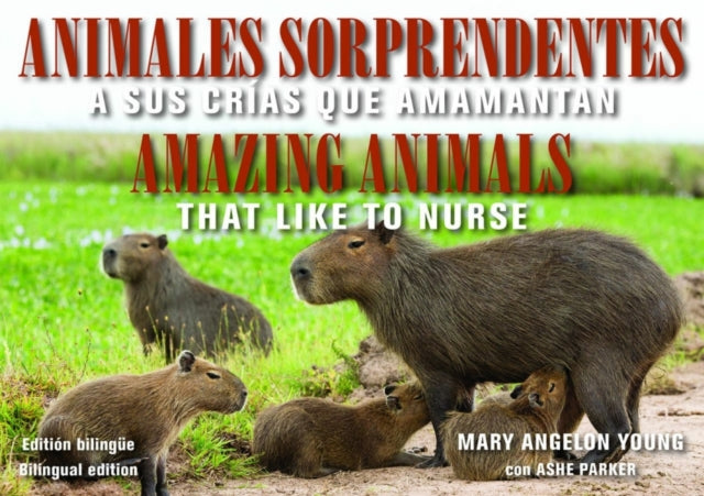 Animales Sorprendentes / Amazing Animals - English & Spanish Bilingual Edition