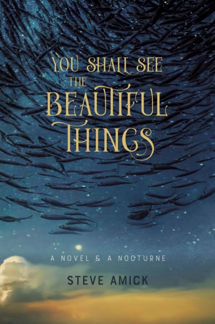 You Shall See the Beautiful Things – A Novel & A Nocturne