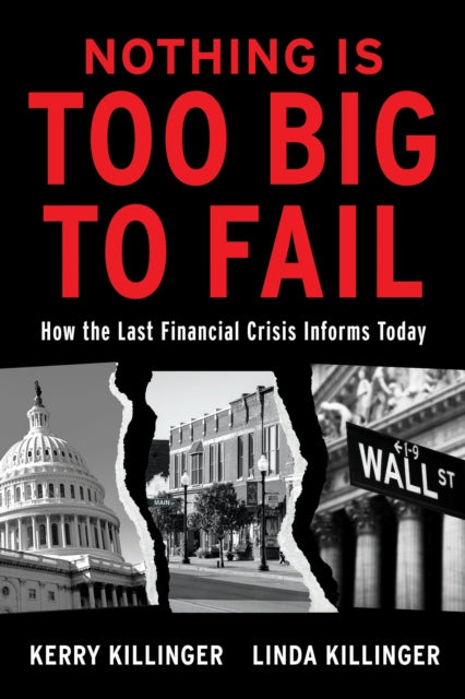 Nothing Is Too Big To Fail - How the Last Financial Crisis Informs Today