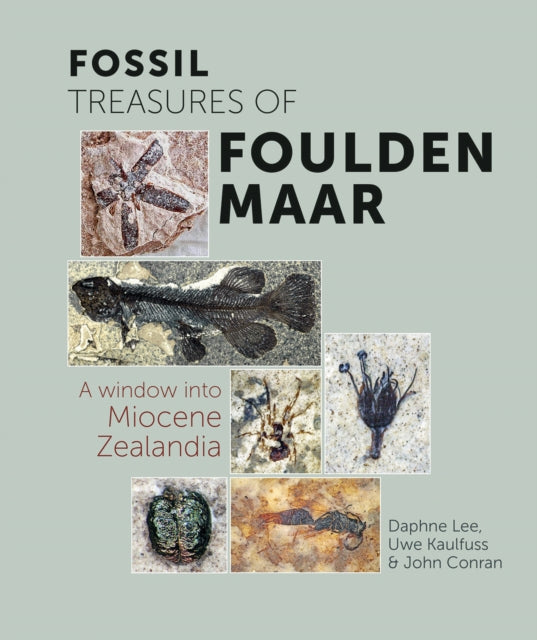 Fossil Treasures of Foulden Maar - A Window into Miocene Zealandia