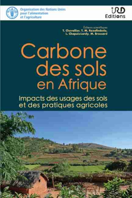 Carbone des sols en Afrique