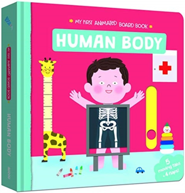 Human Body