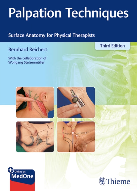 PALPATION TECHNIQUES: SURFACE ANATOMY FOR PHYSICAL