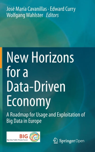 New Horizons for a Data-Driven Economy