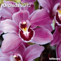 2012 Orchids Grid Calendar