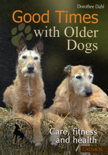 Good Times with Older Dogs