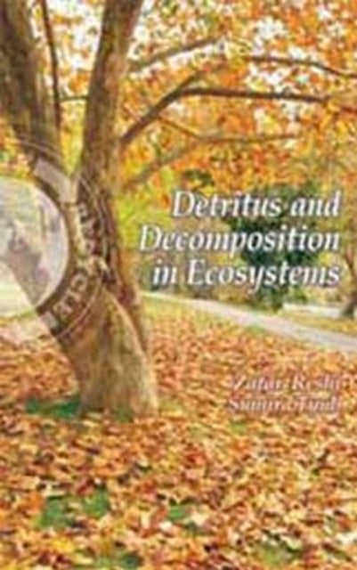 Detritus and Decomposition in Ecosystems