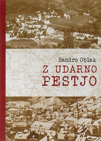 Z udarno pestjo: odnos ljudske oblasti do resničnih in namišljenih domačih nasprotnikov na Idrijskem in Cerkljanskem (1943 -1950)