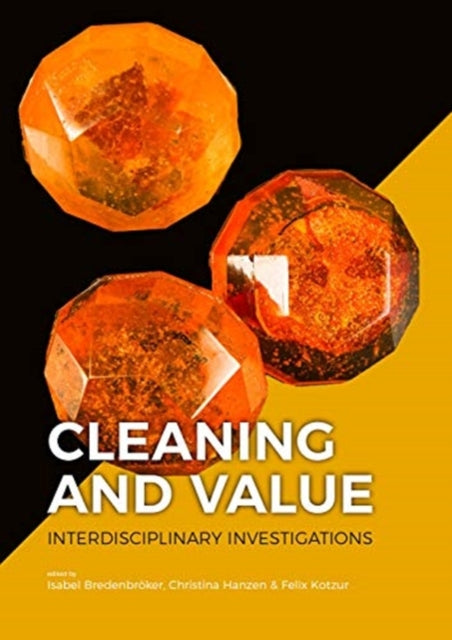 Cleaning and Value - Interdisciplinary Investigations