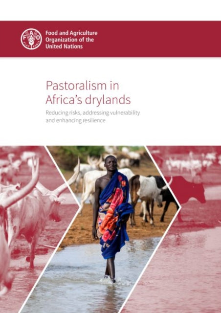 Pastoralism in Africa's drylands - reducing risks, addressing vulnerability and enhancing resilience