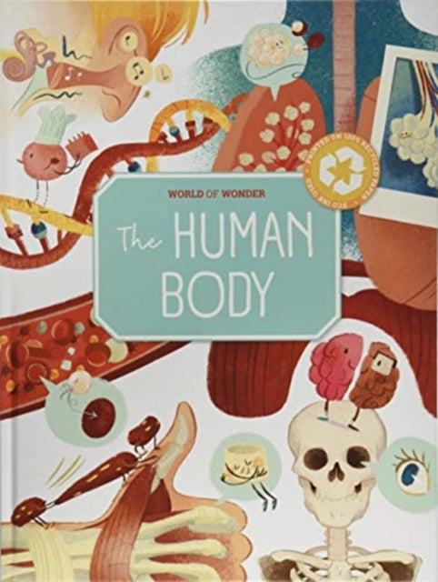 Human Body