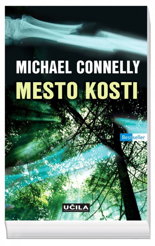Mesto kosti