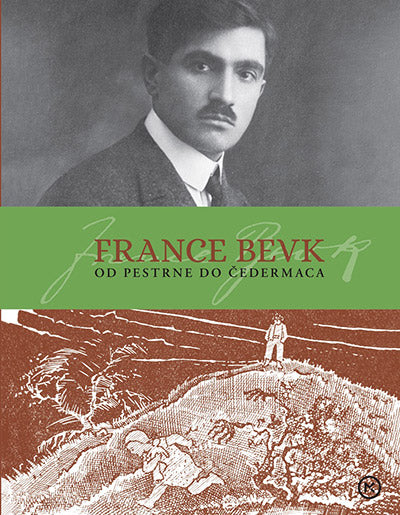 France Bevk: od Pestrne do Čedermaca: življenje in delo Franceta Bevka (1890-1970)