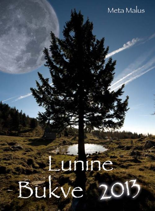 Lunine bukve 2013