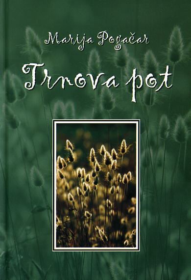 Trnova pot