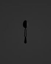 GUARDIANS OF THE SPOON