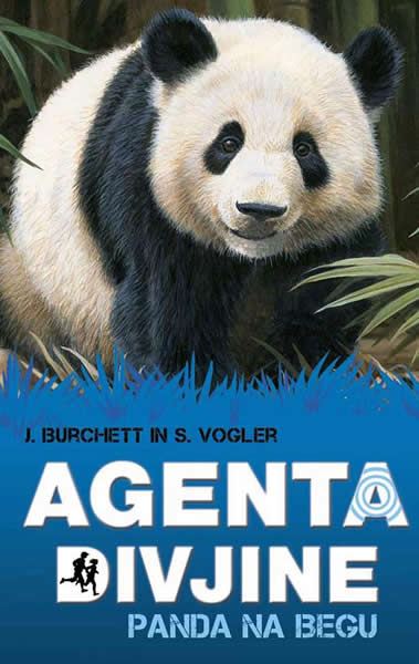 Panda na begu (Agenta divjine)