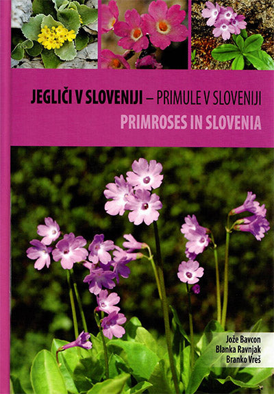 Jegliči v Sloveniji - primule v Sloveniji = Primroses in Slovenia