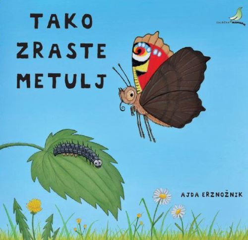 Tako zraste metulj